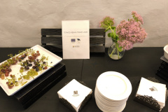 IMG_20250919_114109 IMG_20250919_114109