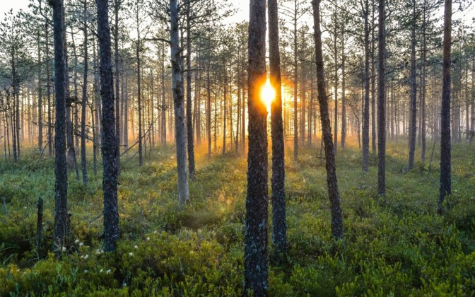 Mardi- ja kadripäevatoitude õpituba 25. novembril